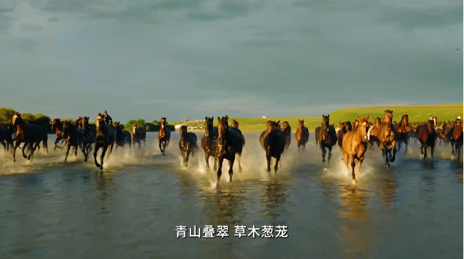 微信图片_20250707113813.png